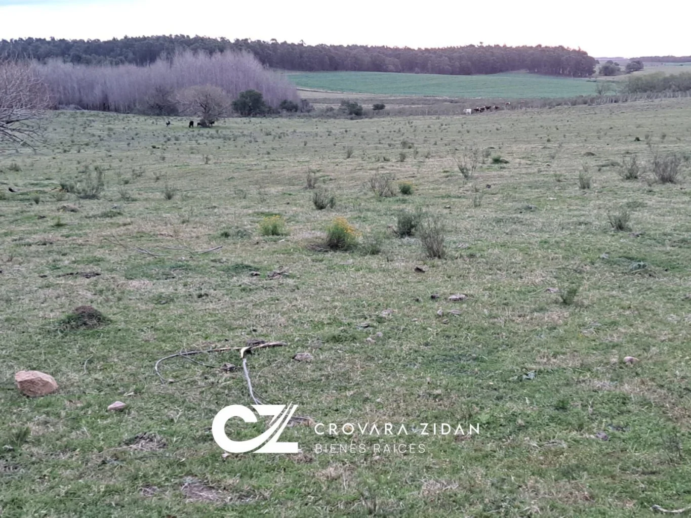 Campo en Migues, propiedad 299288 -Imagen 12