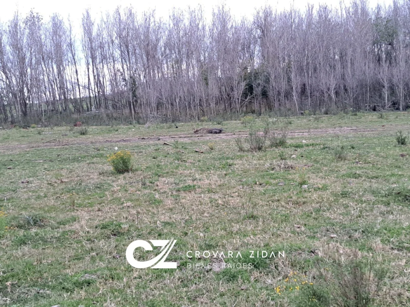 Campo en Migues, propiedad 299288 -Imagen 15