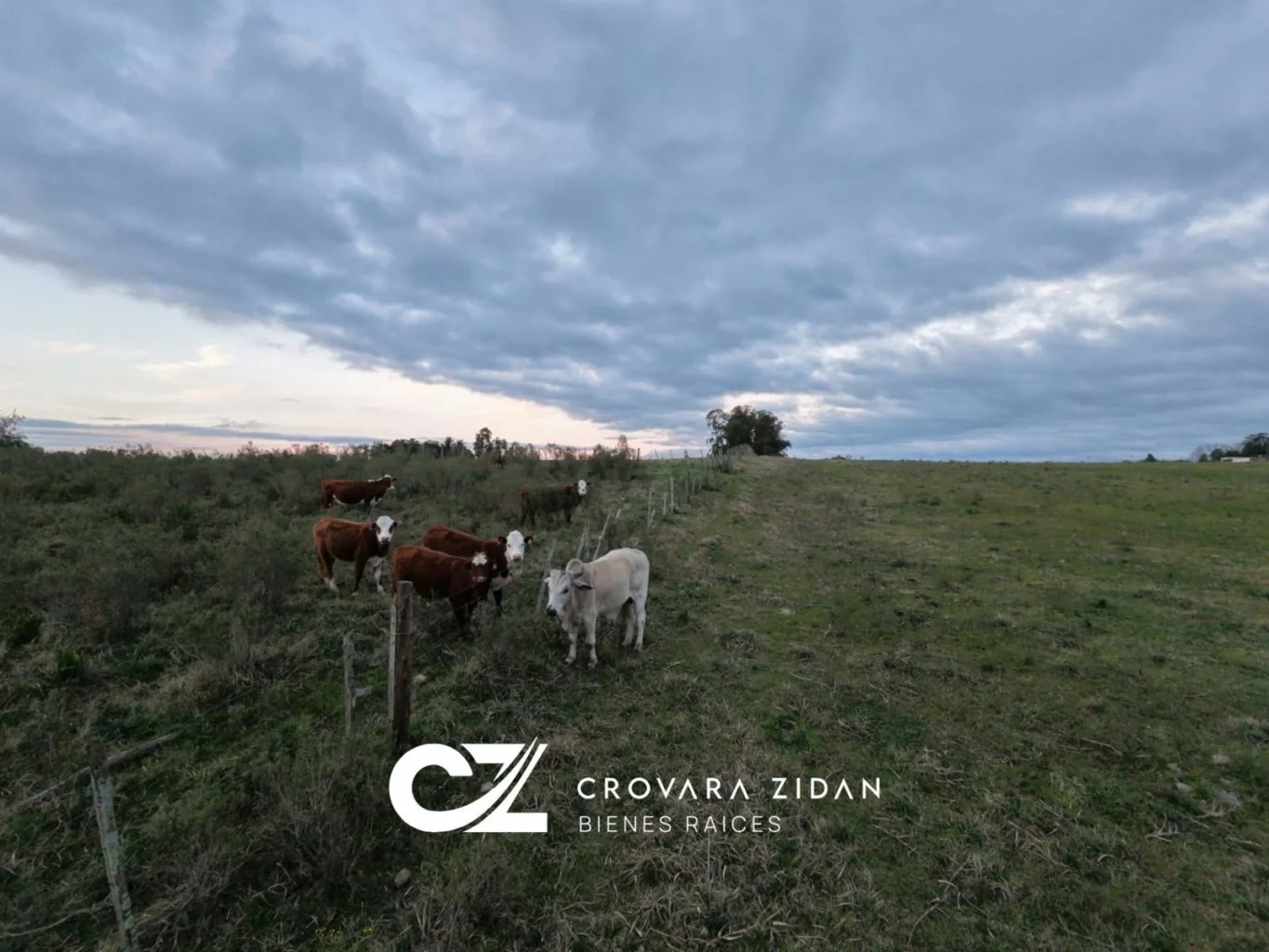 Campo en Migues, propiedad 299288 -Imagen 16
