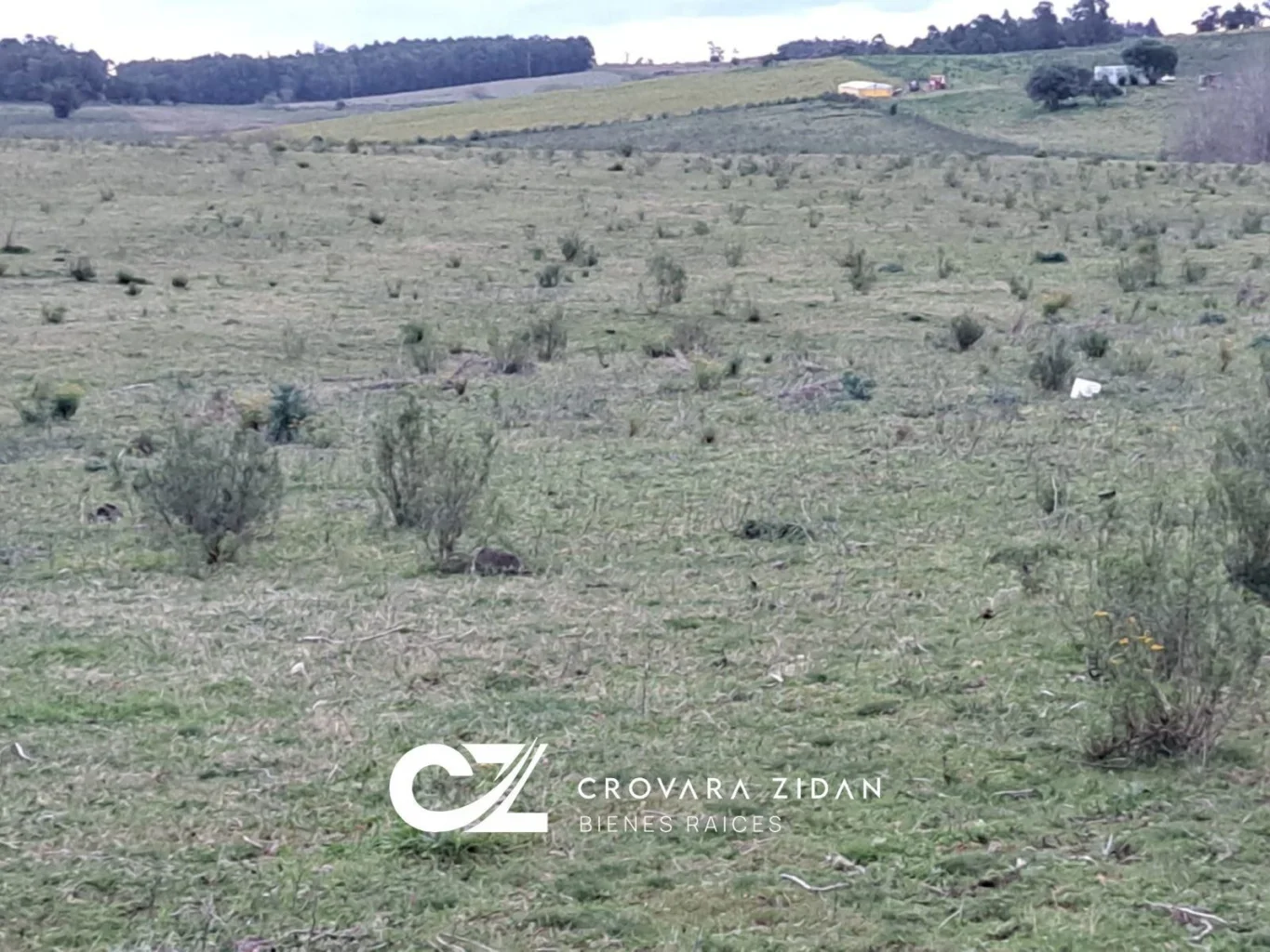 Campo en Migues, propiedad 299288 -Imagen 18