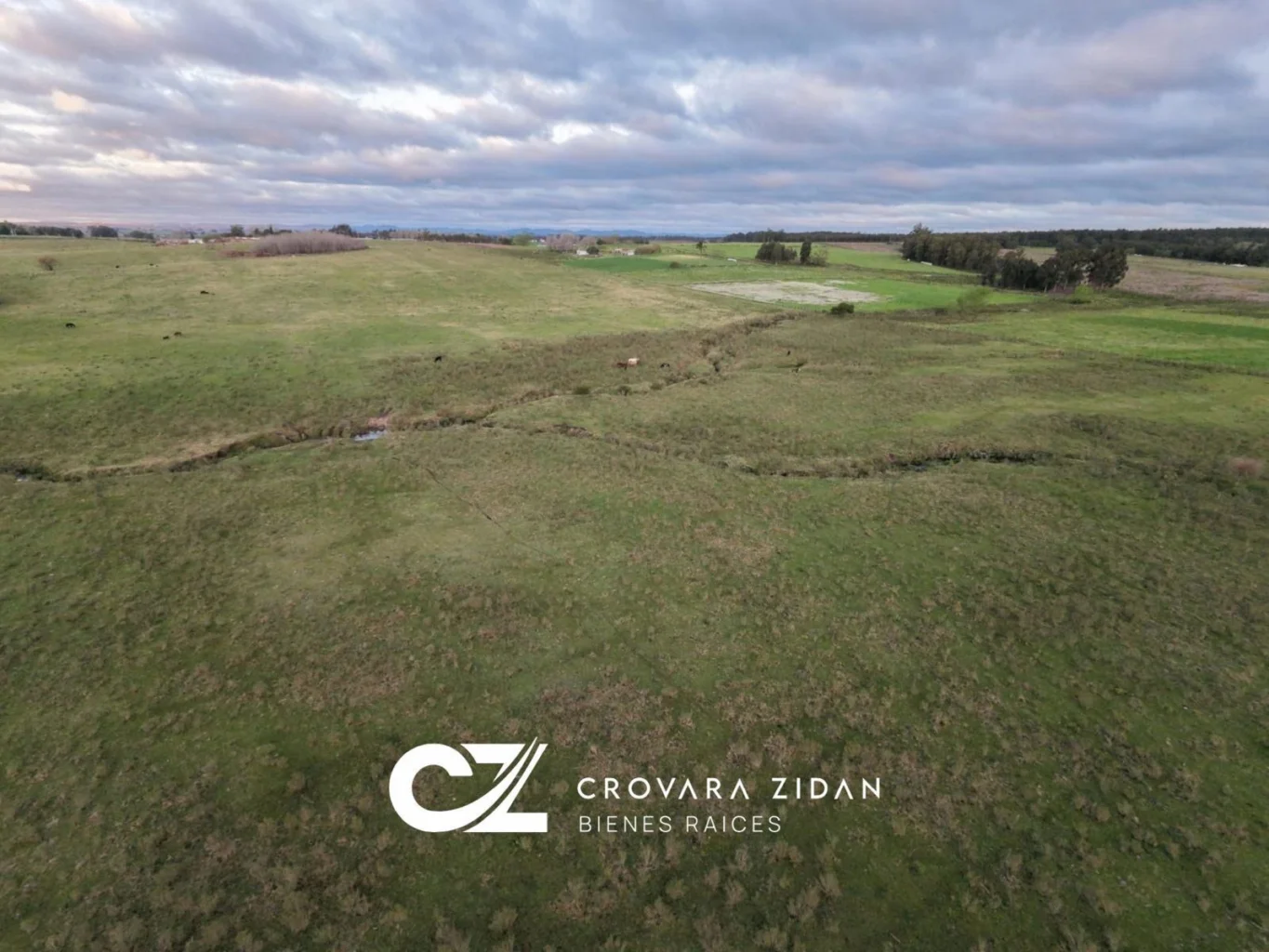 Campo en Migues, propiedad 299288 -Imagen 19