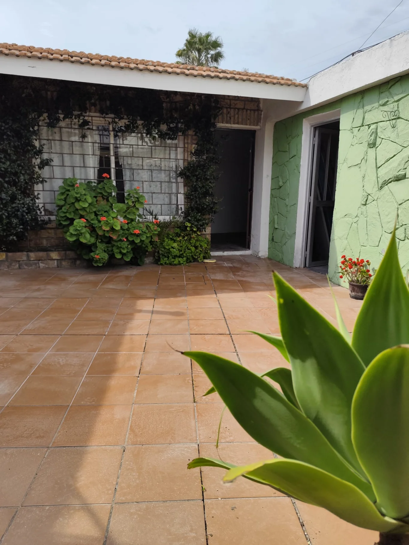 Casa en Punta Gorda, propiedad 298407 -Imagen 26