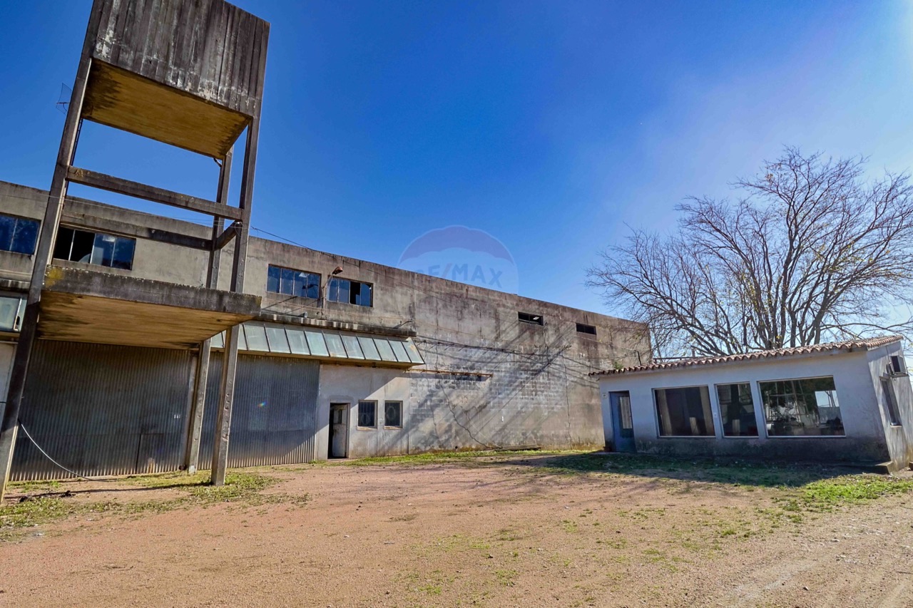 Chacra en Montevideo, propiedad 250191 -Imagen 11
