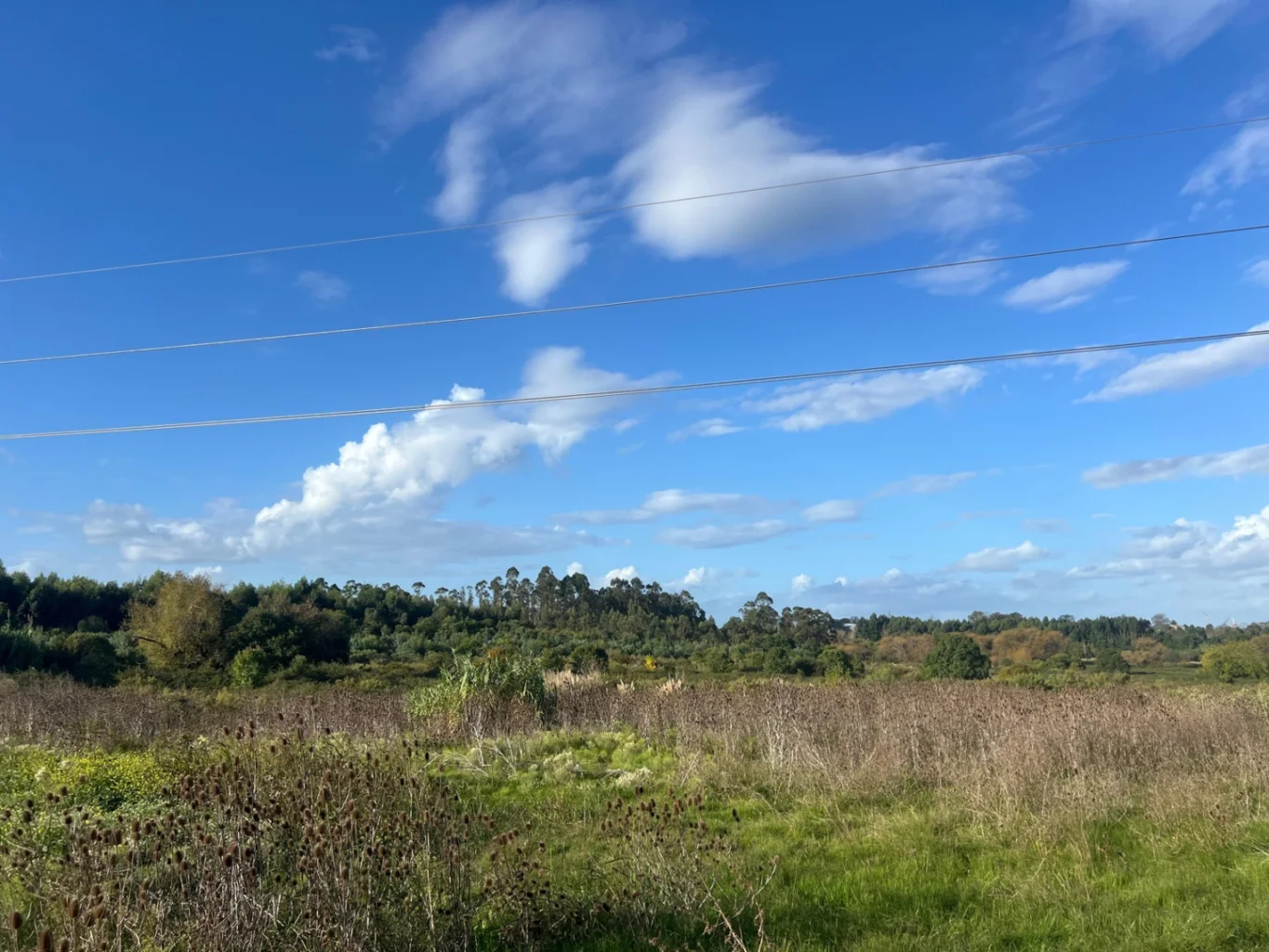 Campo en Peñarol, propiedad 257927 -Imagen 4