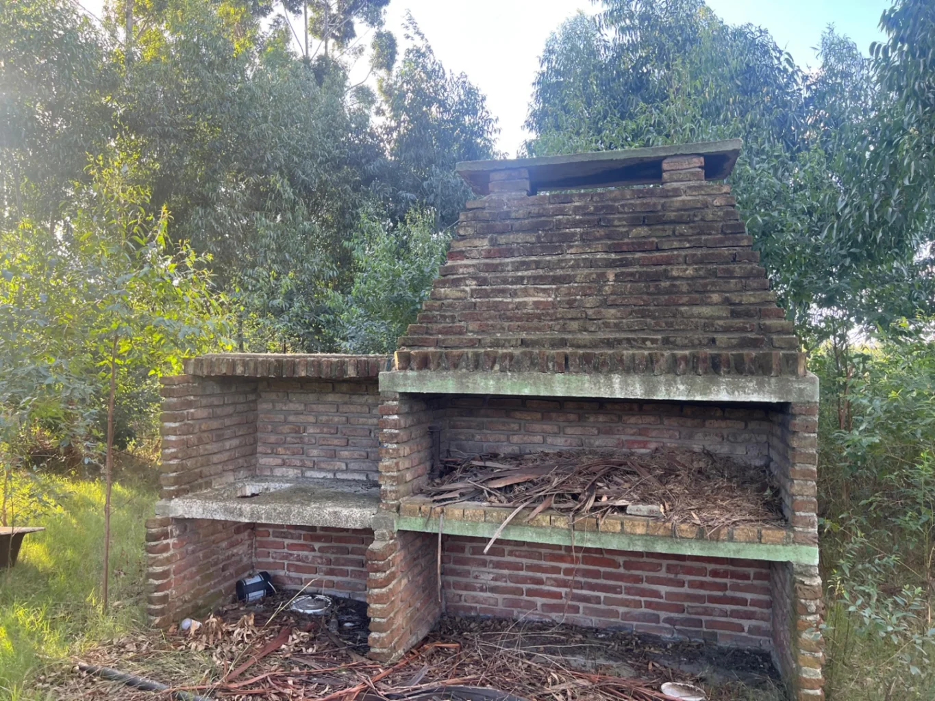 Campo en Peñarol, propiedad 257927 -Imagen 6