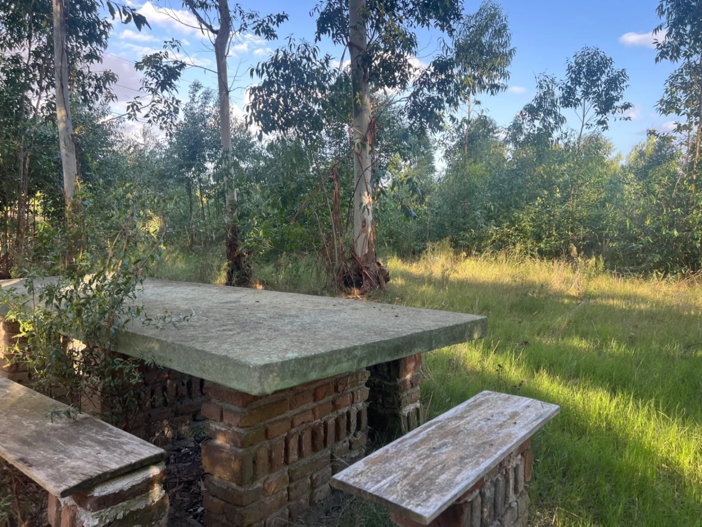Campo en Peñarol, propiedad 257927 -Imagen 7