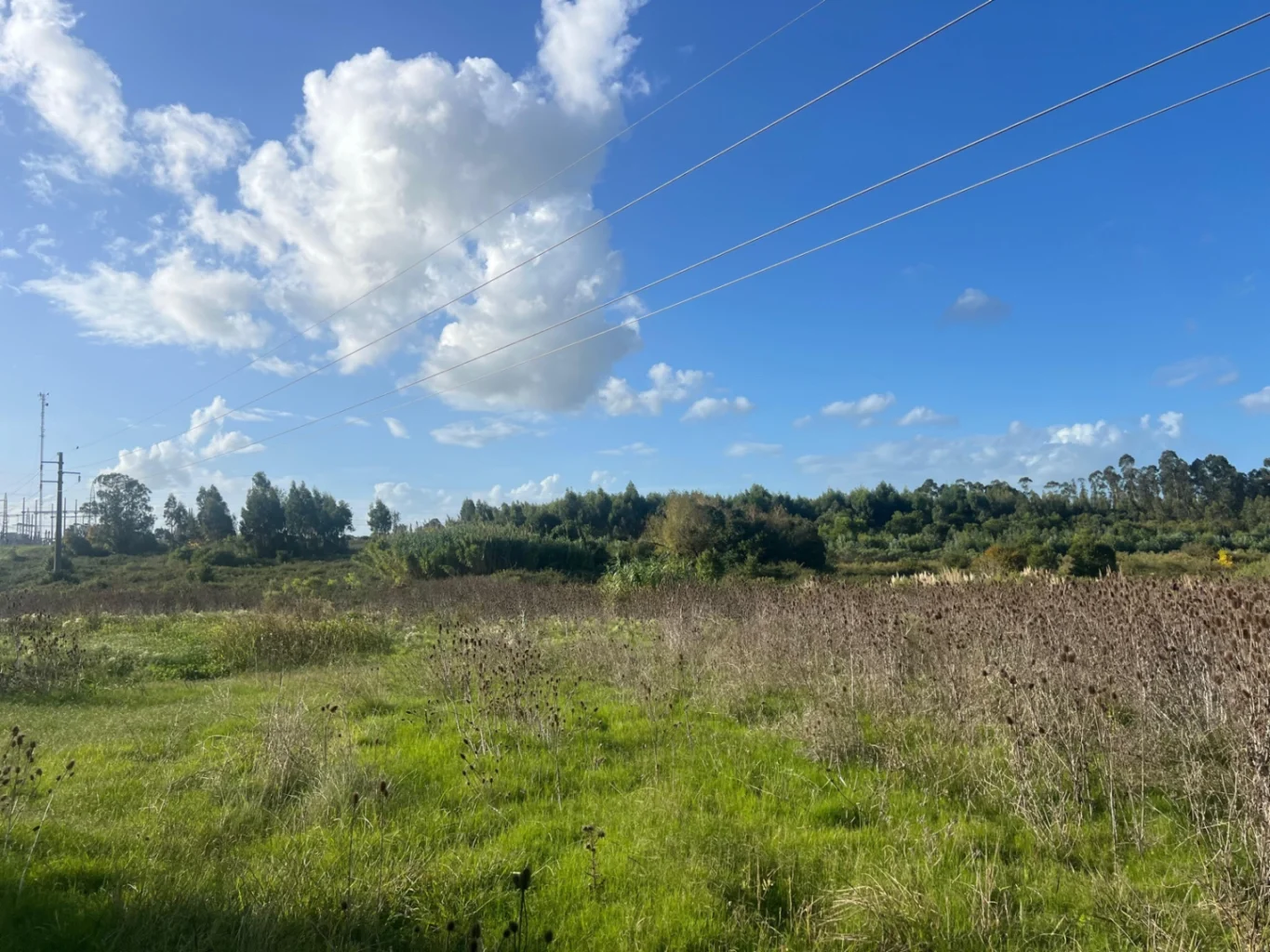 Campo en Peñarol, propiedad 257927 -Imagen 9