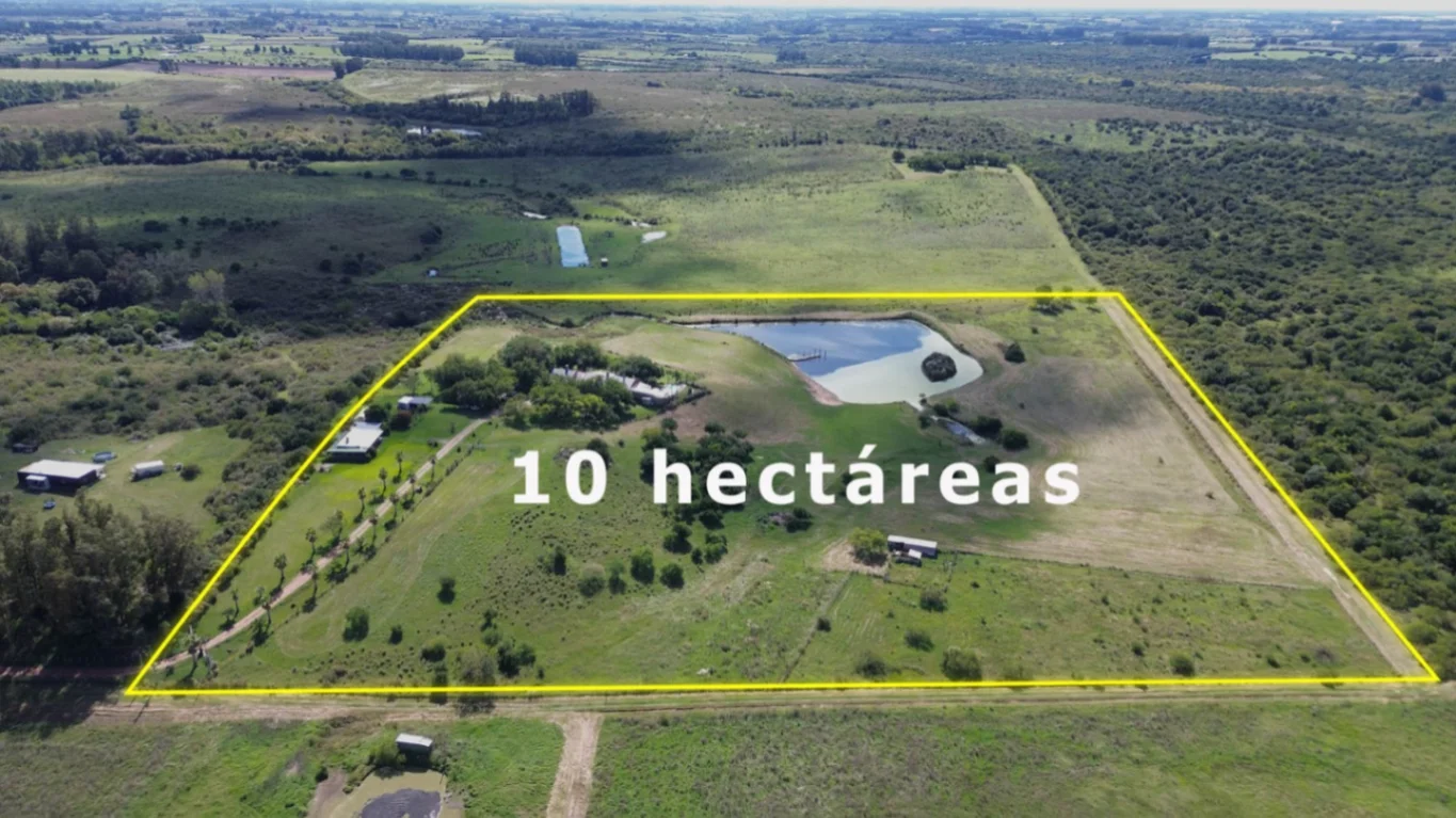 Campo en Las Brujas, propiedad 270244 -Imagen 2