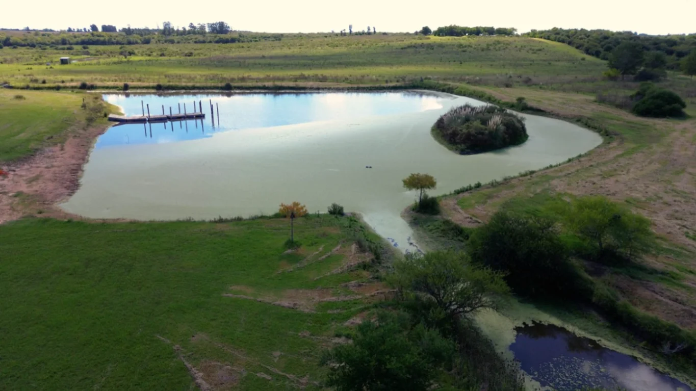 Campo en Las Brujas, propiedad 270244 -Imagen 15