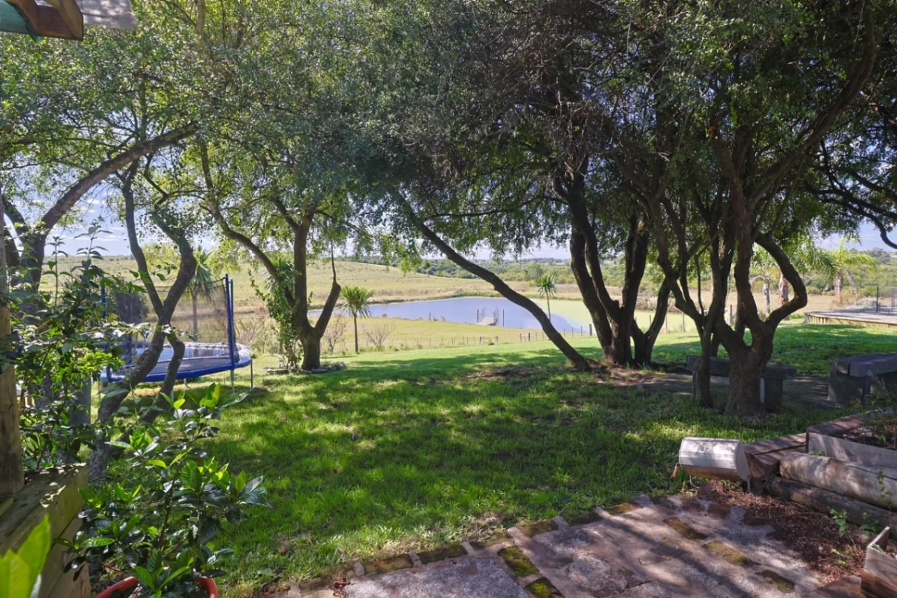 Campo en Las Brujas, propiedad 270244 -Imagen 22