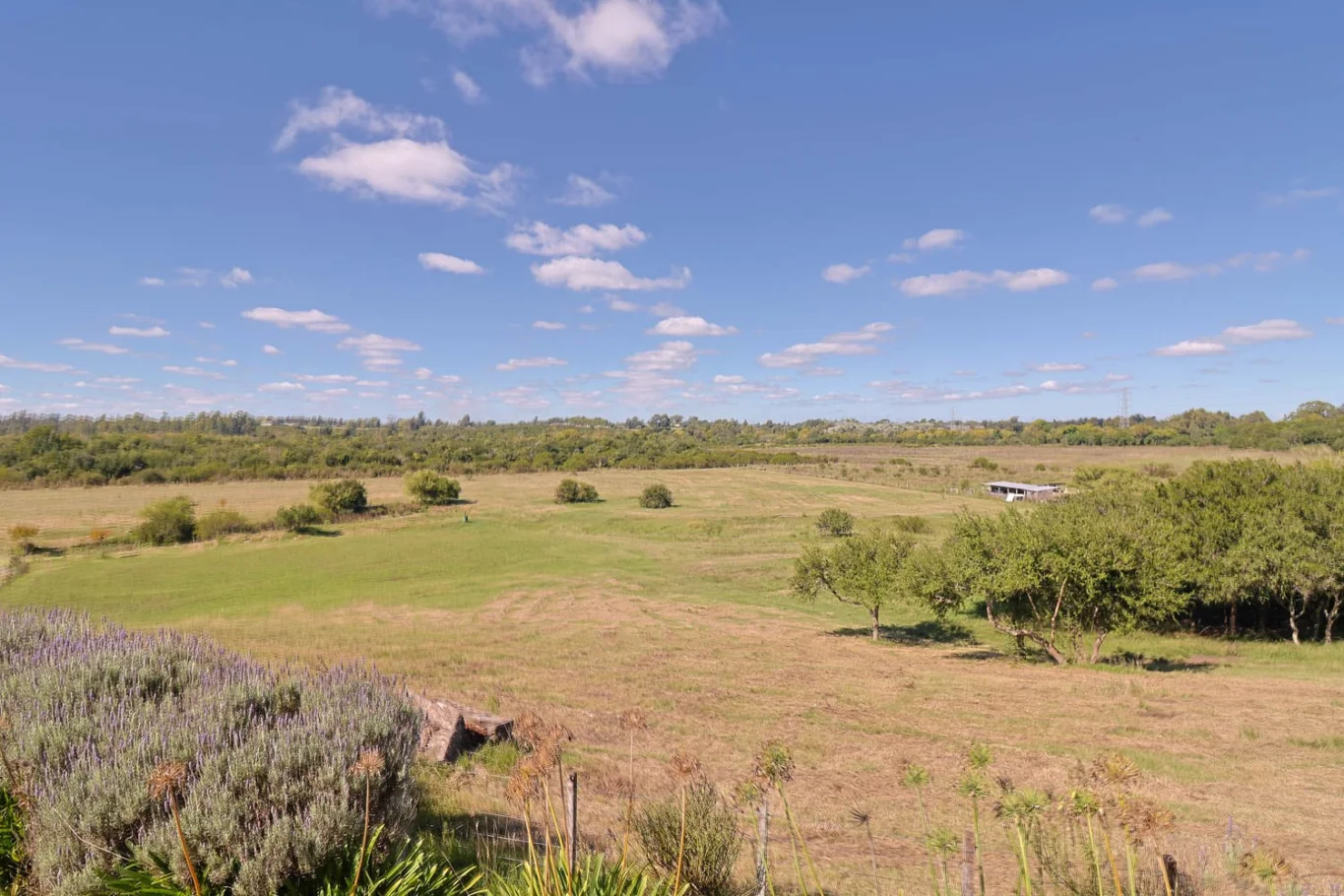 Campo en Las Brujas, propiedad 270244 -Imagen 24