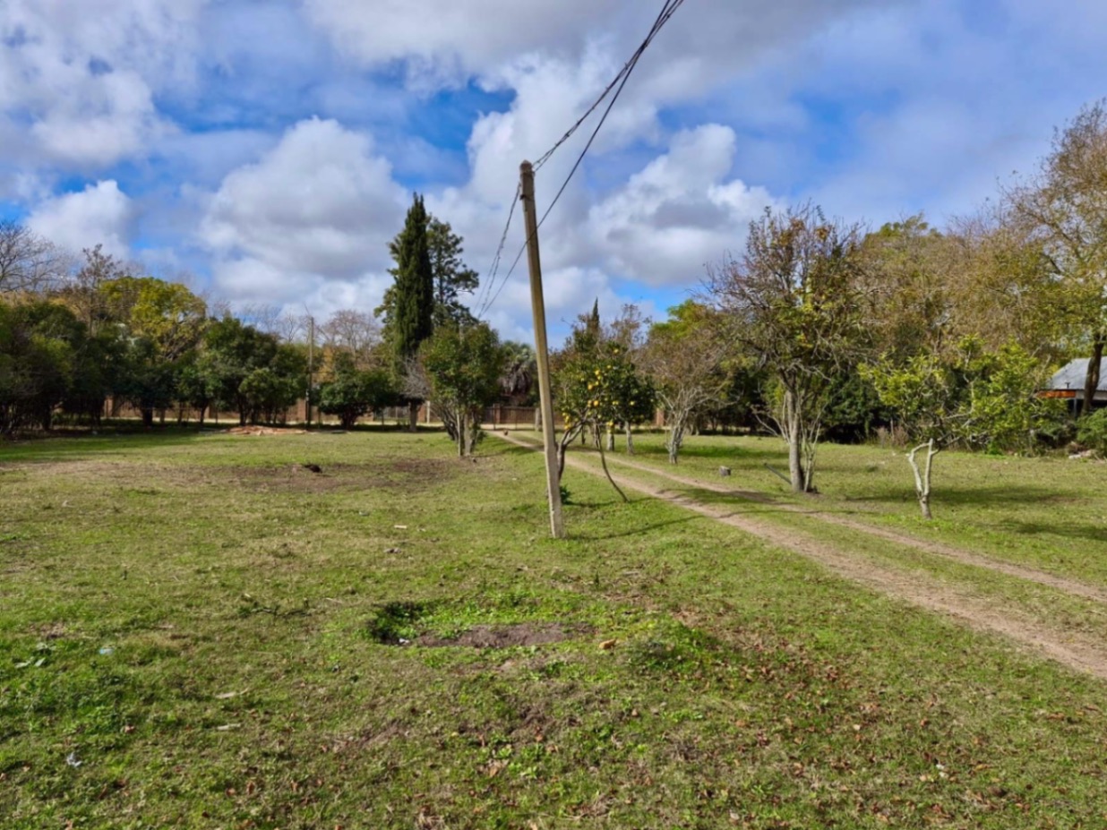 Chacra en Joaquín Suárez, propiedad 270900 -Imagen 2