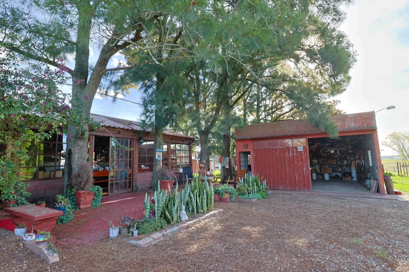 Chacra en San Jacinto, propiedad 291859 -Imagen 8