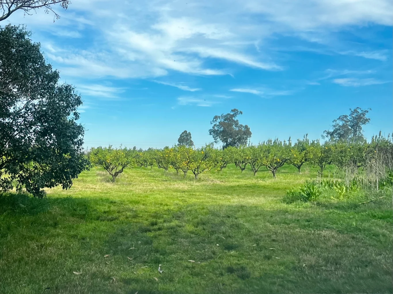 Campo en Melilla, propiedad 298448 -Imagen 4