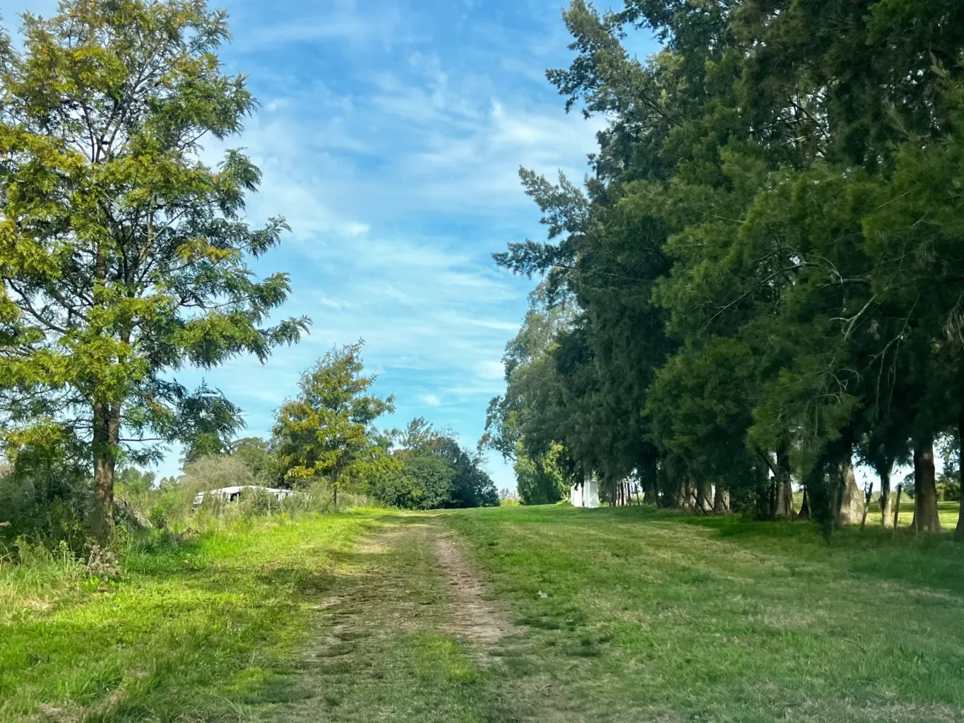 Campo en Melilla, propiedad 298448 -Imagen 7