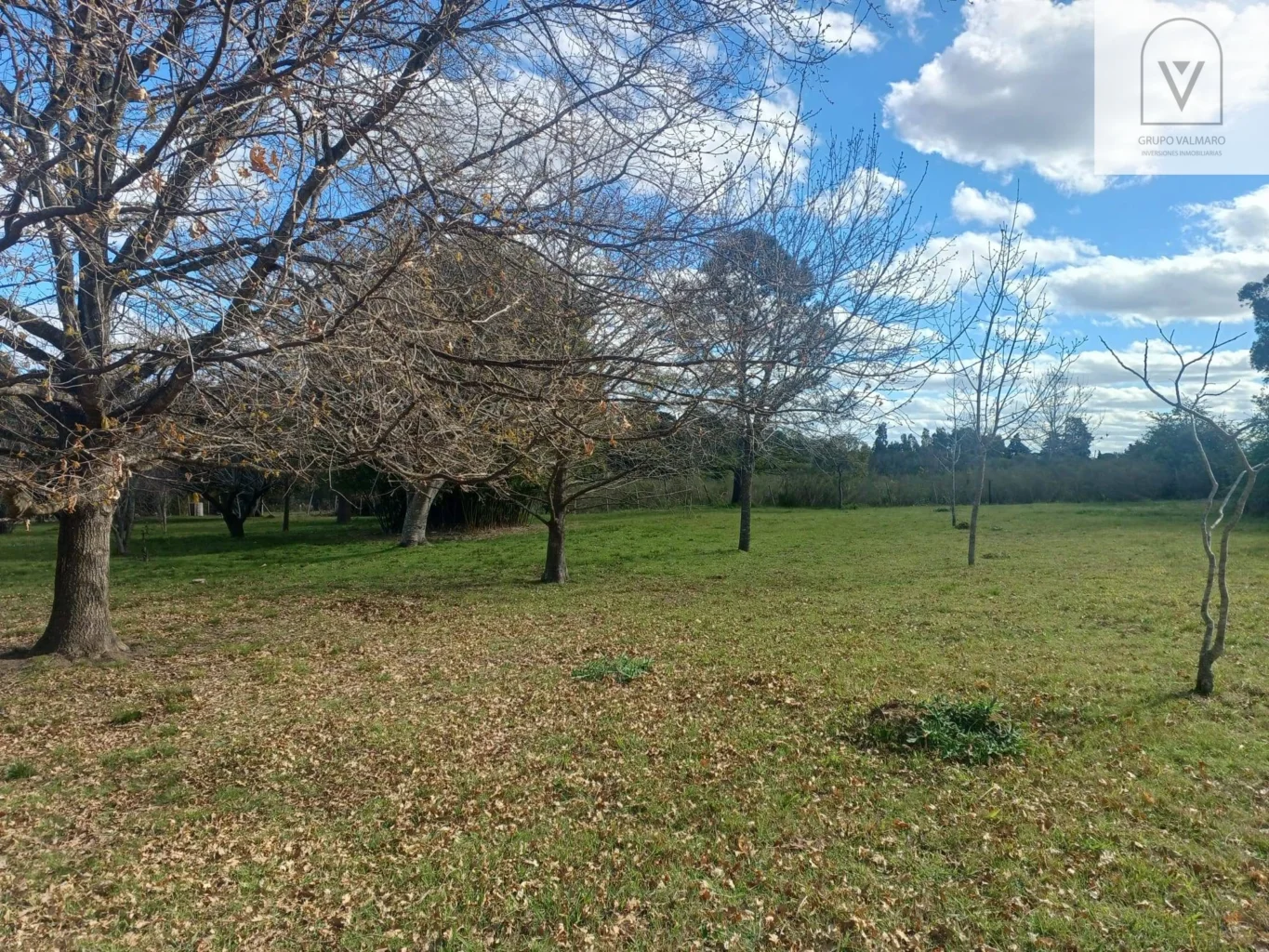Chacra en Atlántida, propiedad 293400 -Imagen 11