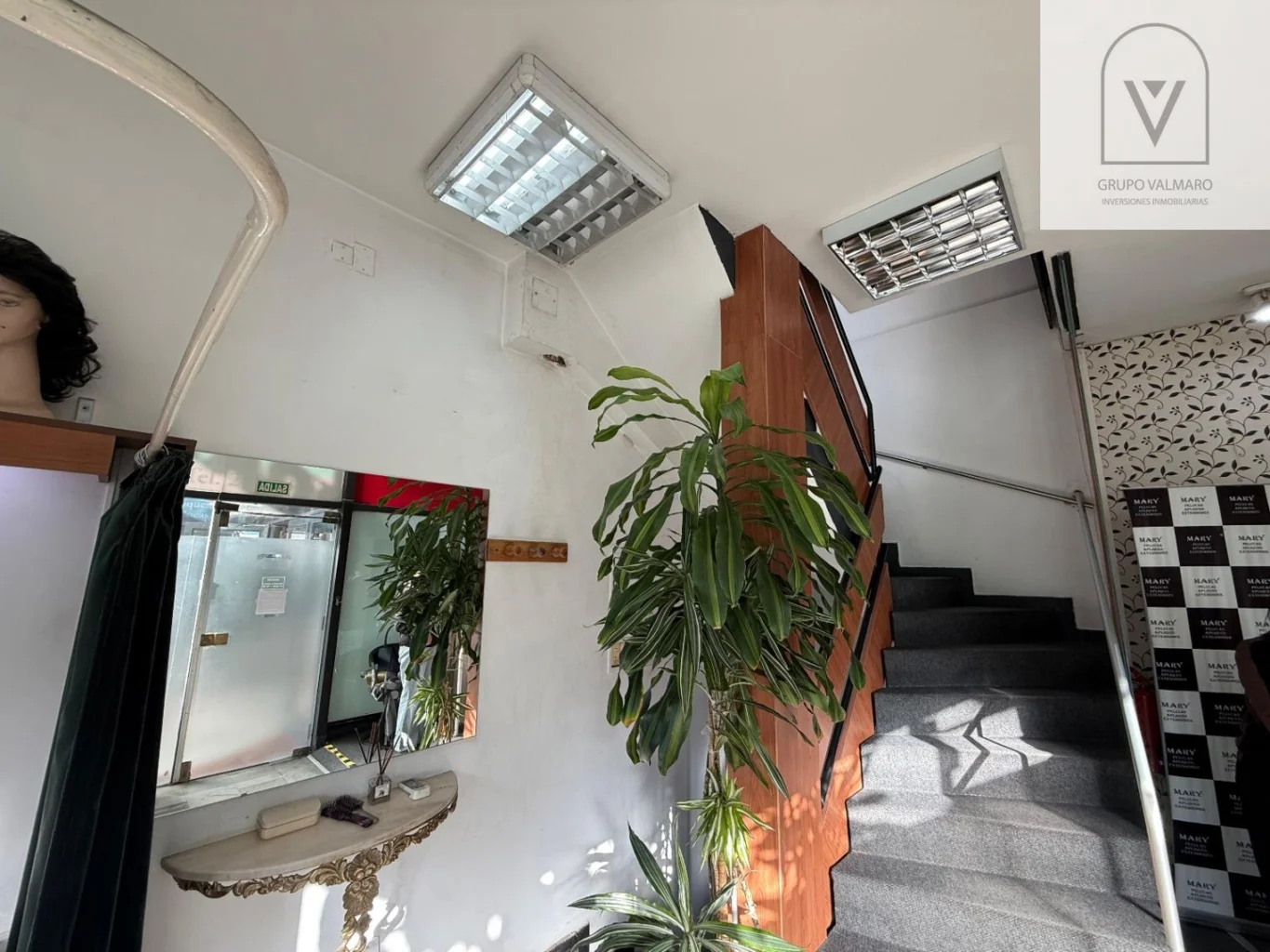 Local en Centro, propiedad 303497 -Imagen 4