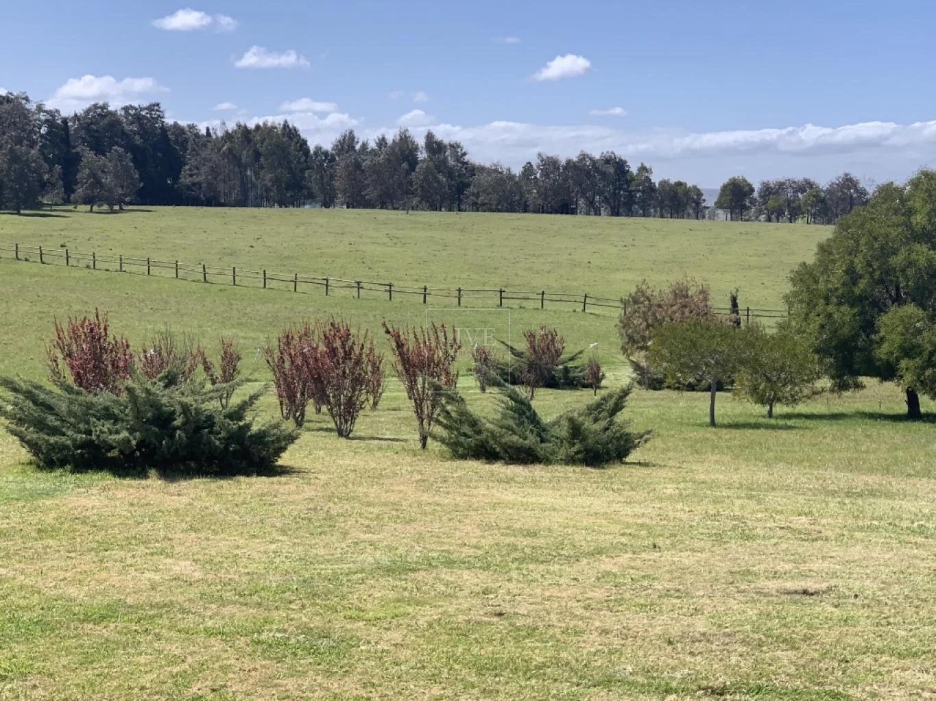 Chacra en Laguna del Sauce, propiedad 35271 -Imagen 15