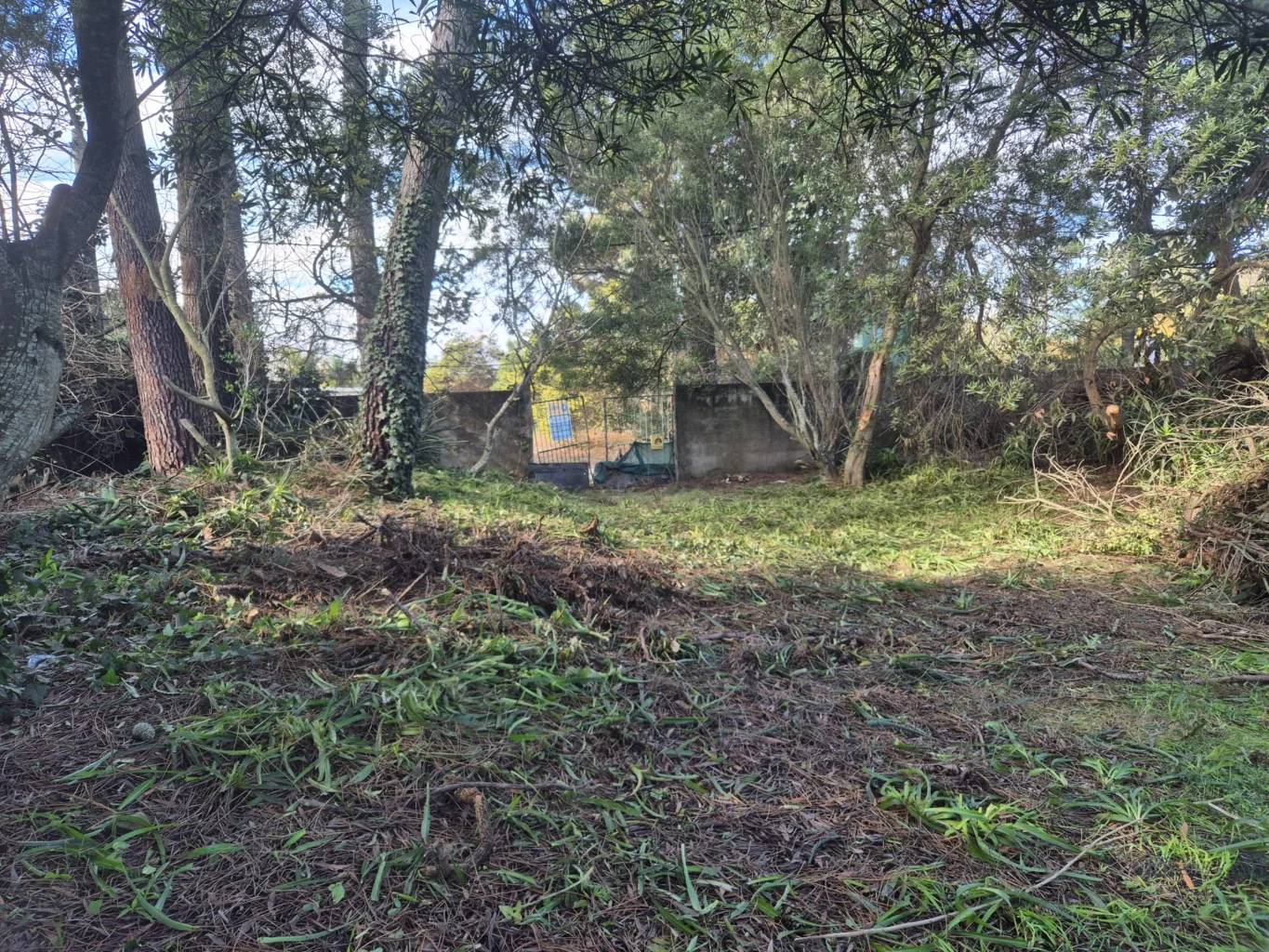 Terreno en Parque del Plata, propiedad 285602 -Imagen 10