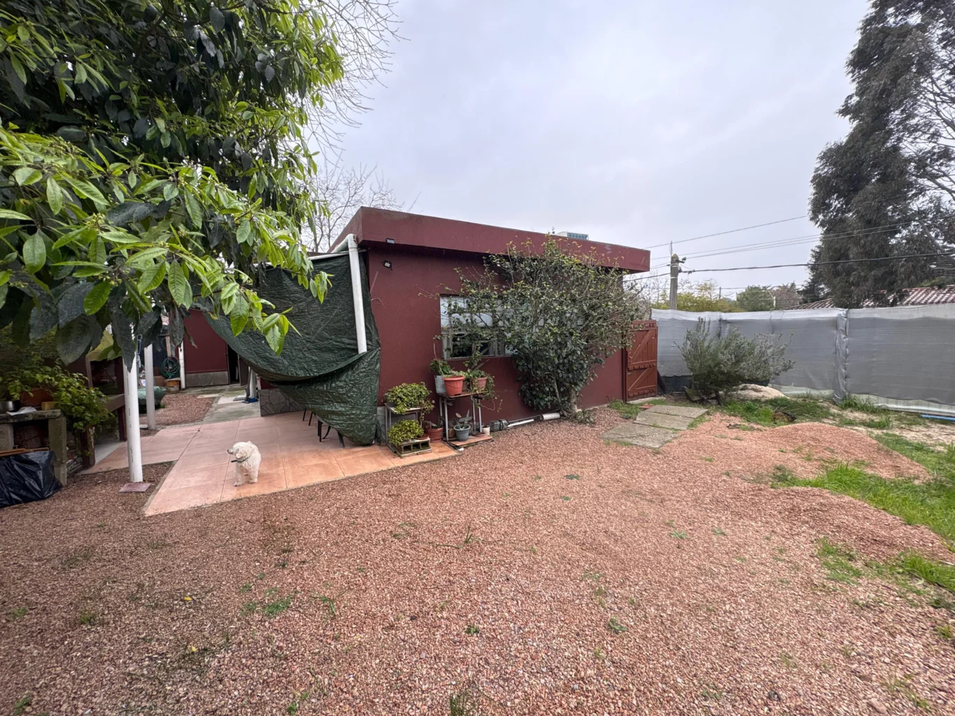 Casa en Las Toscas, propiedad 291078 -Imagen 21