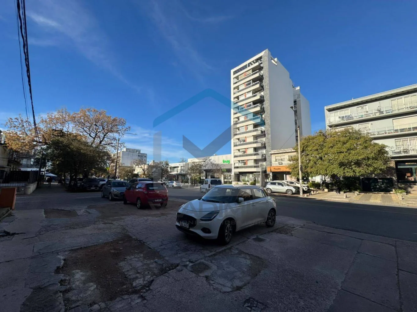 Local en Parque Batlle, propiedad 282770 -Imagen 15