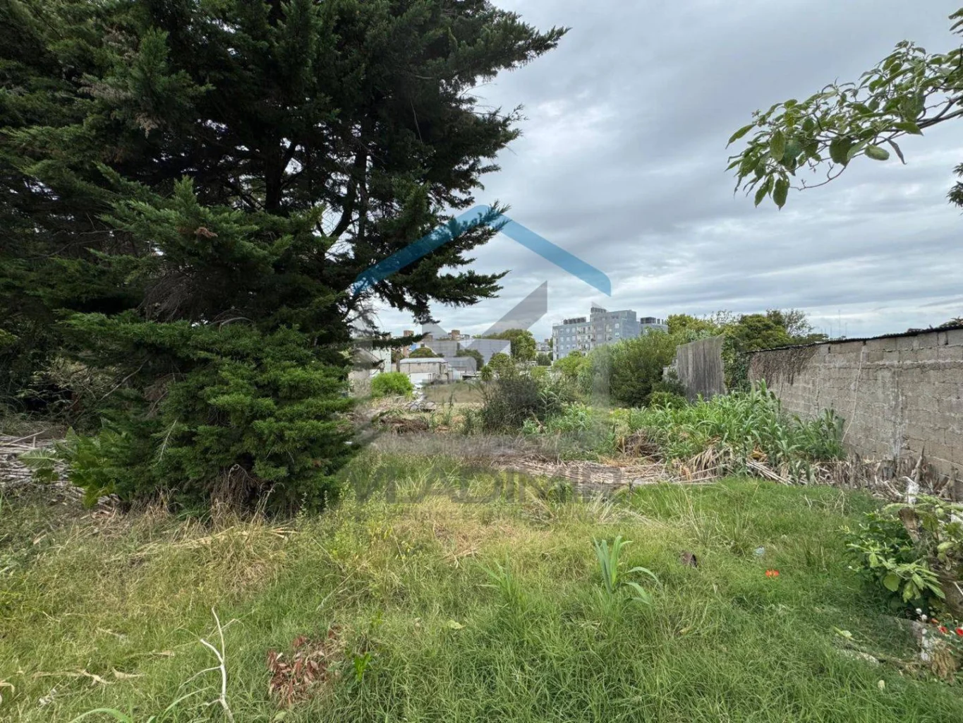 Terreno en Malvín Norte, propiedad 284262 -Imagen 17