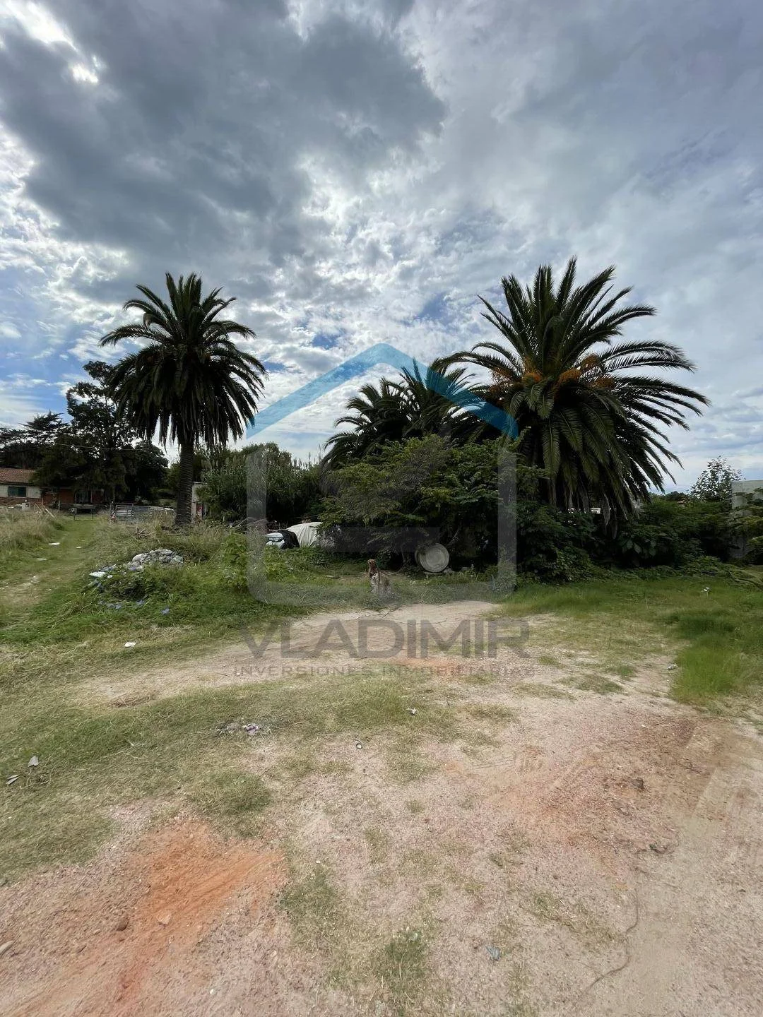 Terreno en Malvín Norte, propiedad 284262 -Imagen 6