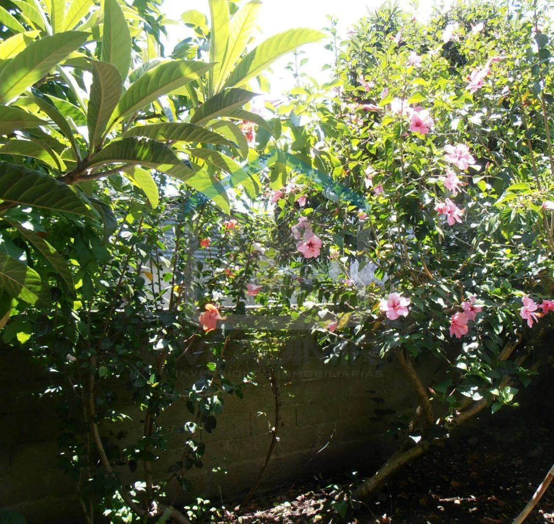 Casa en Prado, propiedad 287353 -Imagen 2