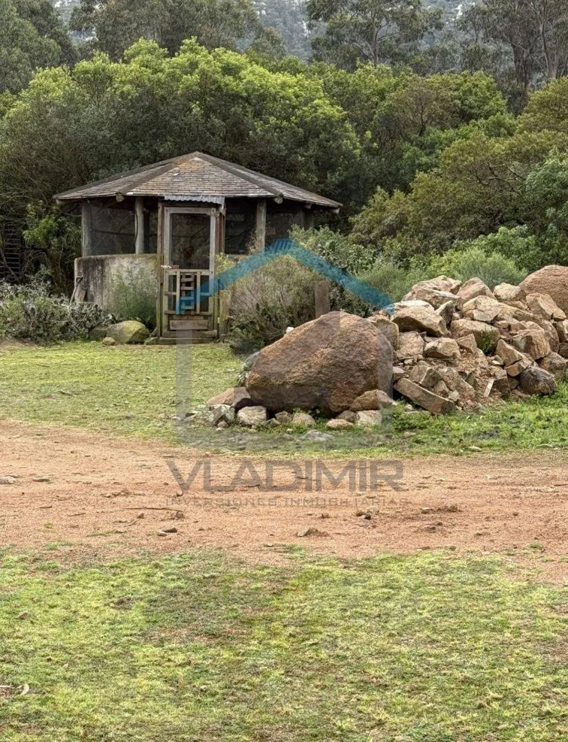 Chacra en Pan de azucar, propiedad 295816 -Imagen 12