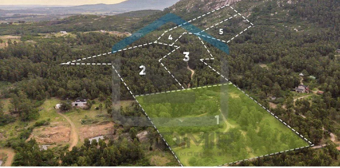 Chacra en Pan de azucar, propiedad 295816 -Imagen 15