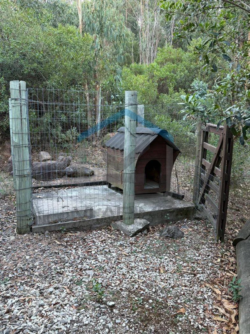 Chacra en Pan de azucar, propiedad 295817 -Imagen 7