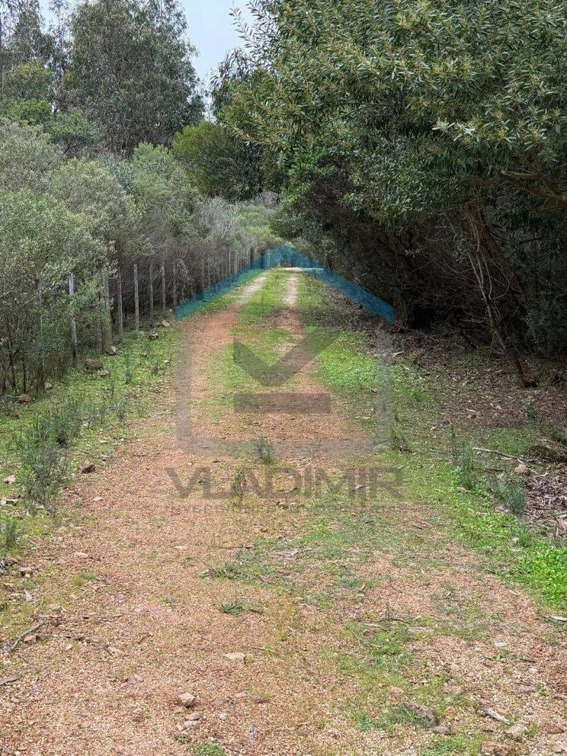 Chacra en Pan de azucar, propiedad 295818 -Imagen 12