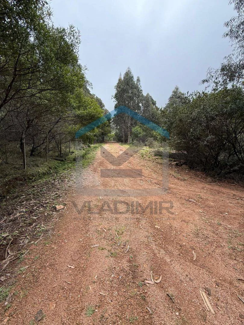 Chacra en Pan de azucar, propiedad 295819 -Imagen 16