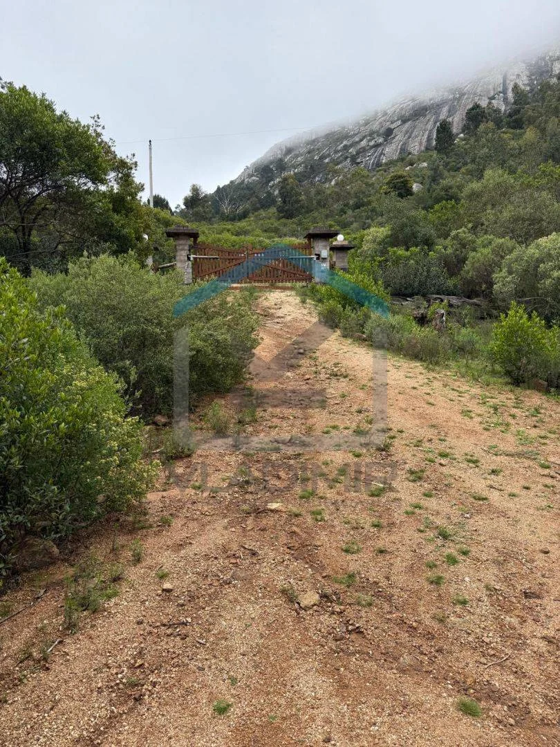 Chacra en Pan de azucar, propiedad 295819 -Imagen 17
