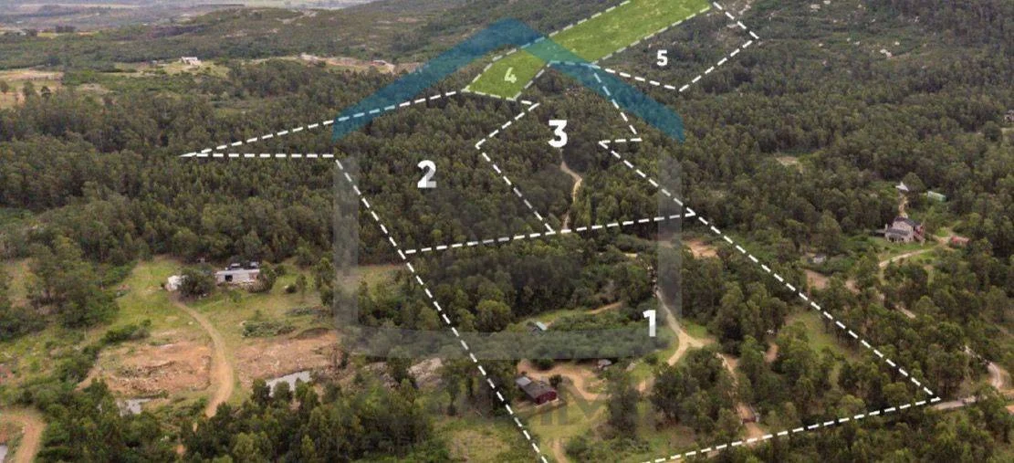 Chacra en Pan de azucar, propiedad 295819 -Imagen 20