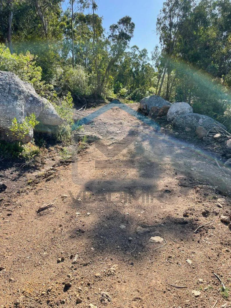 Chacra en Pan de azucar, propiedad 295820 -Imagen 3