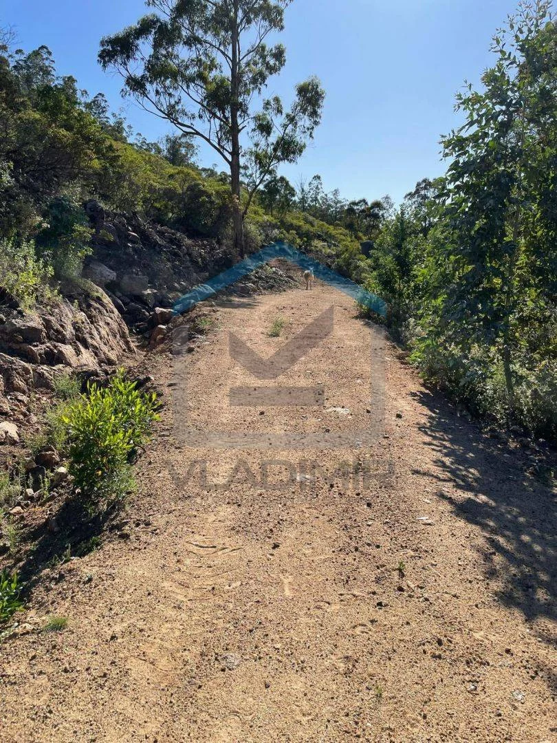Chacra en Pan de azucar, propiedad 295820 -Imagen 5