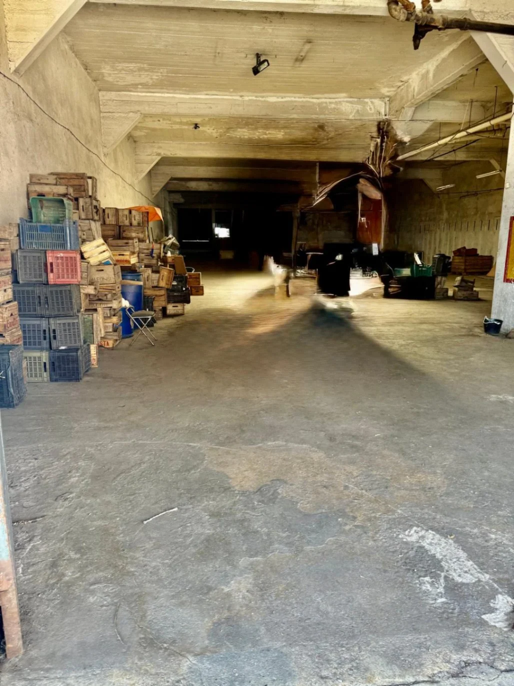 Depósito en Centro, propiedad 247386 -Imagen 11