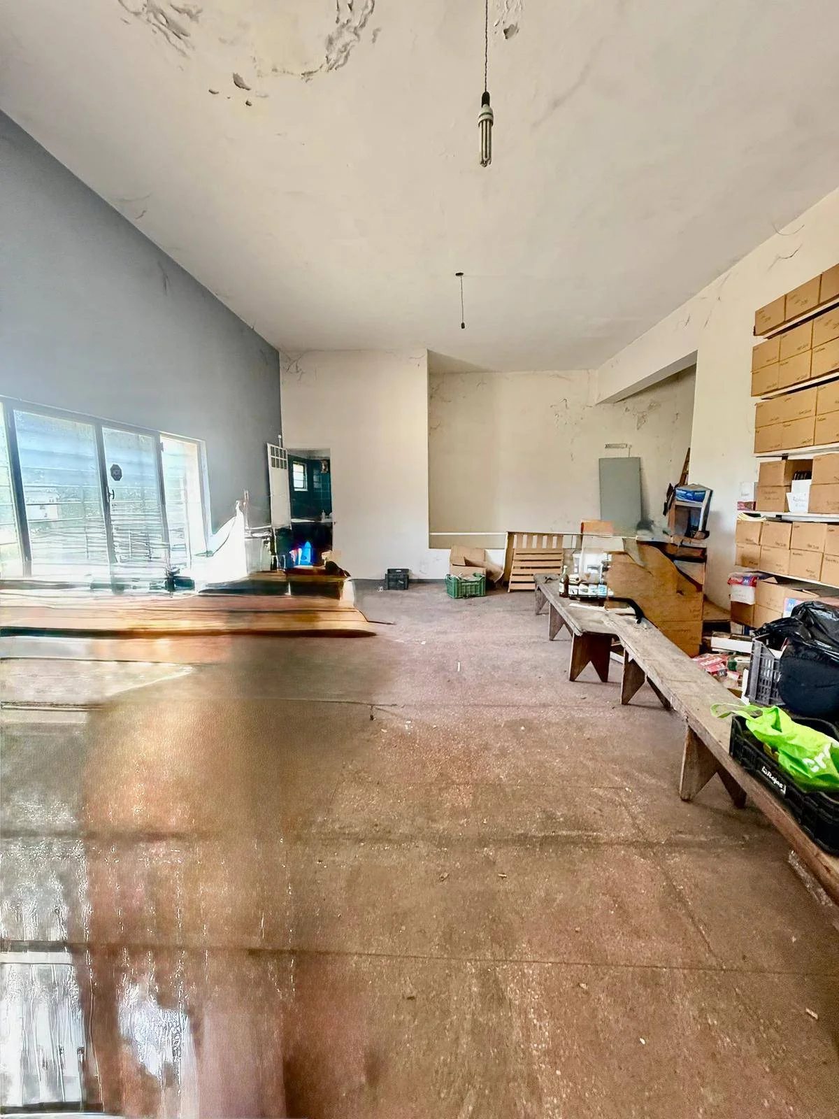 Depósito en Centro, propiedad 265086 -Imagen 11