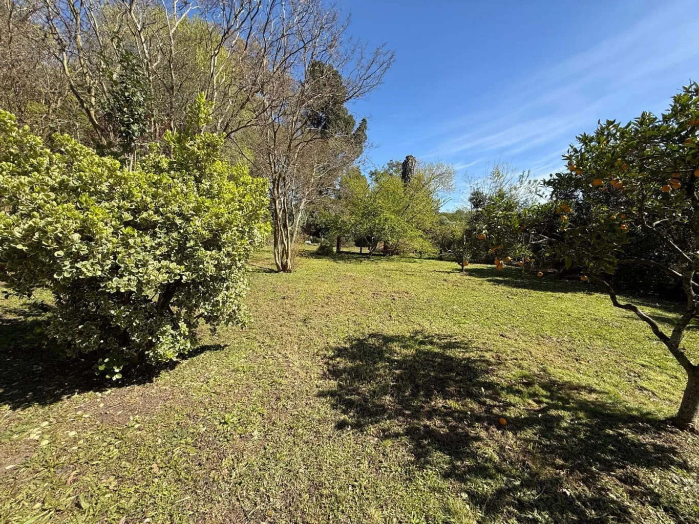 Terreno en Paso de la Arena, propiedad 297752 -Imagen 2