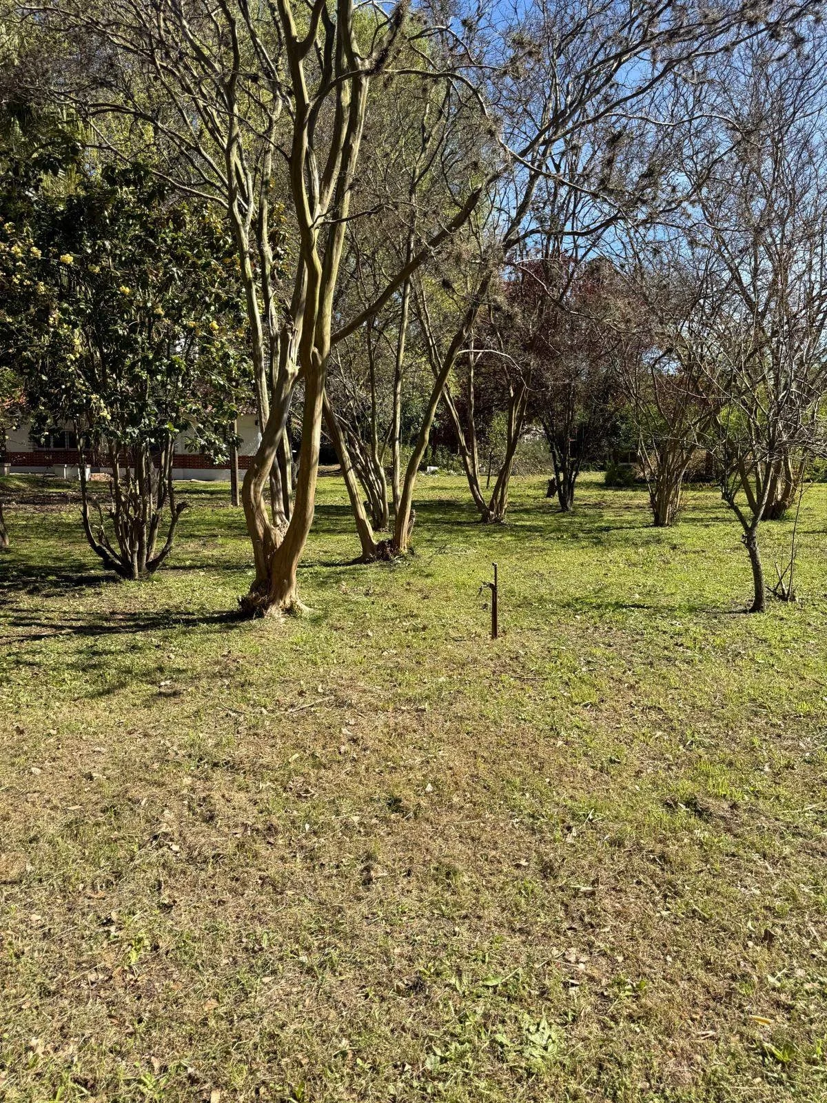 Terreno en Paso de la Arena, propiedad 297752 -Imagen 7