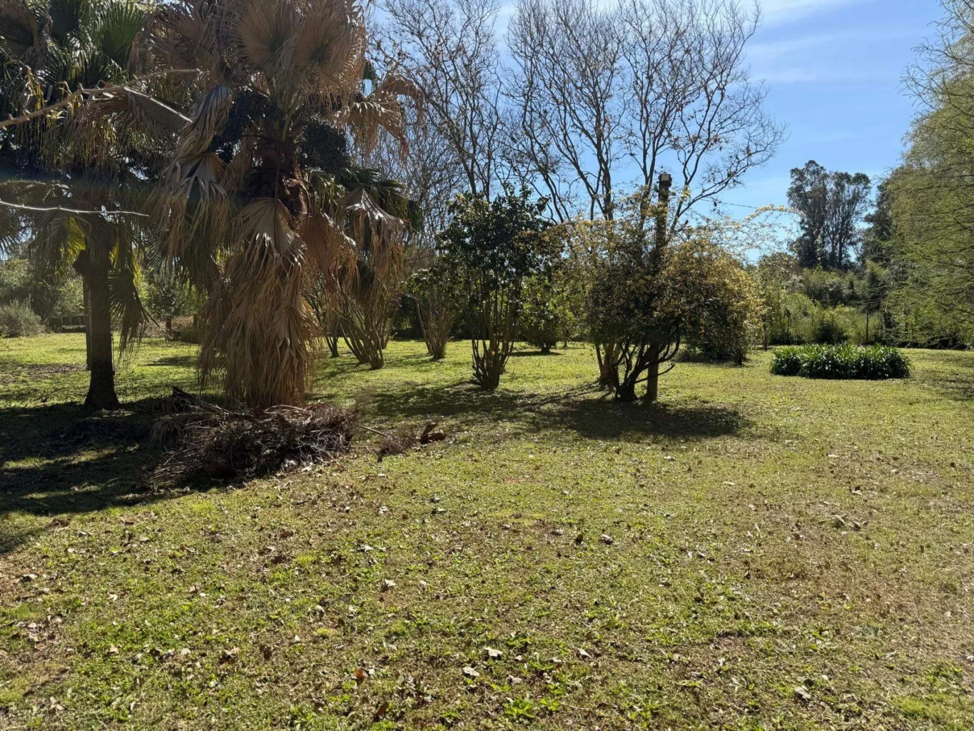 Terreno en Paso de la Arena, propiedad 297752 -Imagen 8