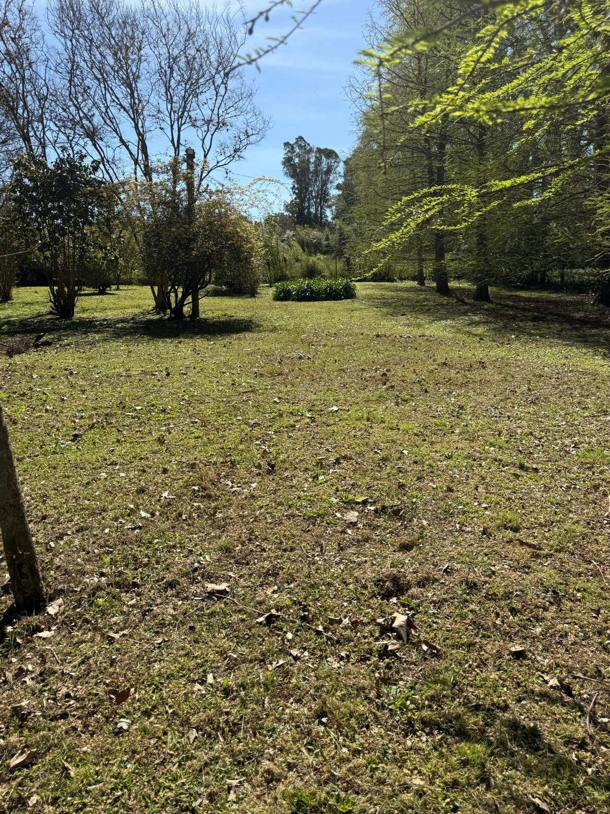 Terreno en Paso de la Arena, propiedad 297752 -Imagen 9