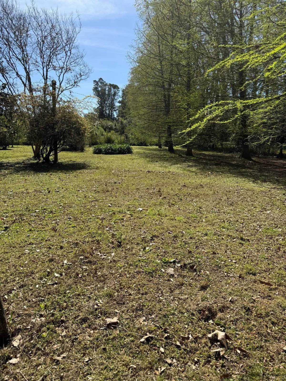 Terreno en Paso de la Arena, propiedad 297752 -Imagen 10