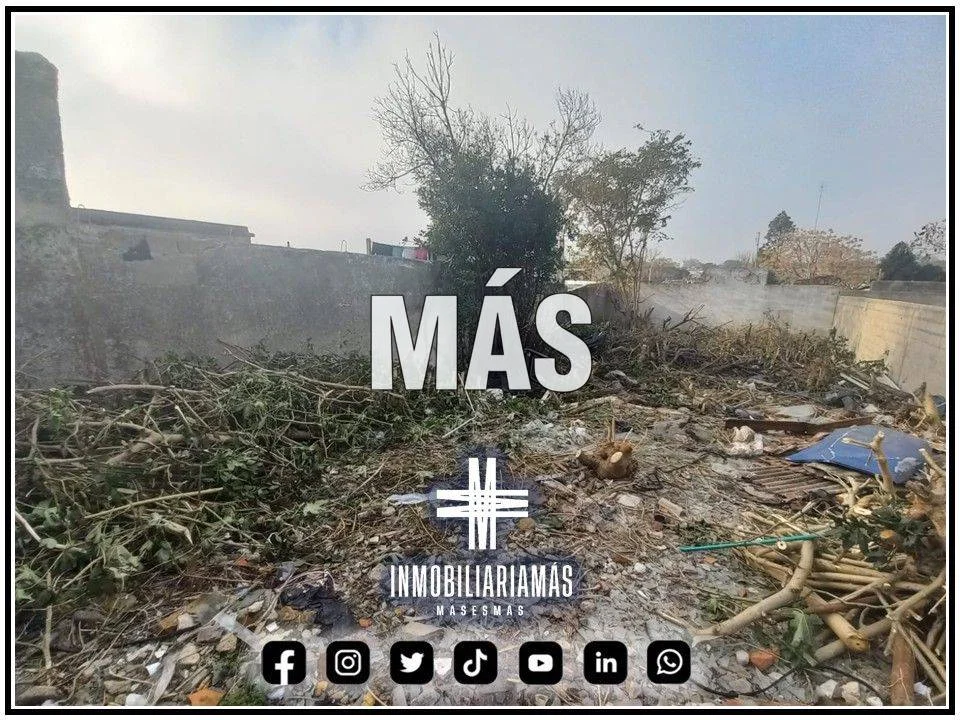 Depósito en Montevideo, propiedad 248003 -Imagen 16