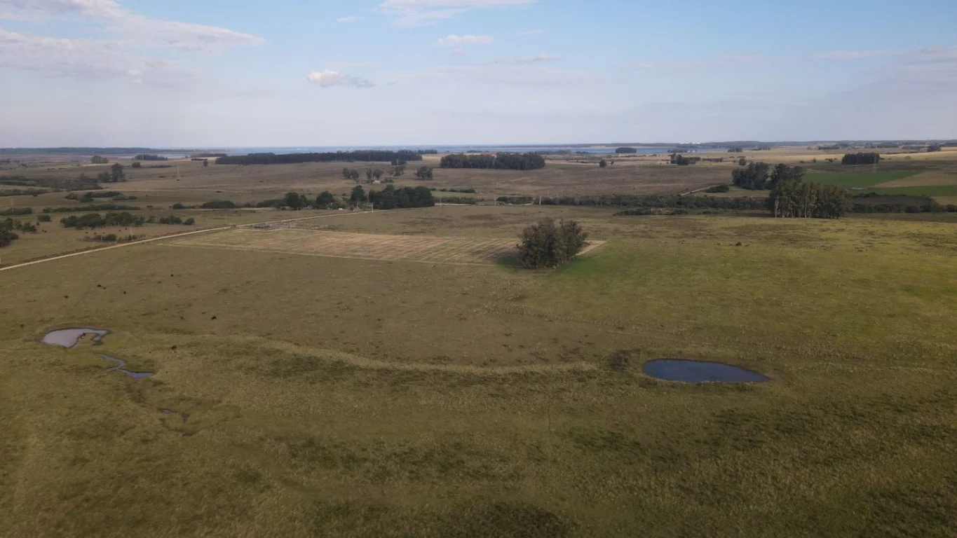 Campo en José Ignacio, propiedad 289775 -Imagen 9