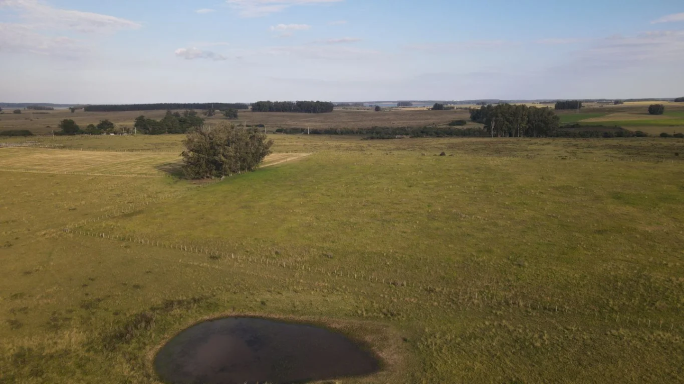 Campo en José Ignacio, propiedad 289775 -Imagen 10