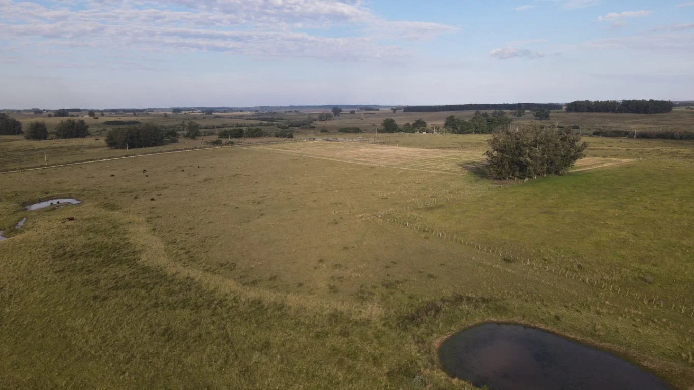 Campo en José Ignacio, propiedad 289775 -Imagen 11