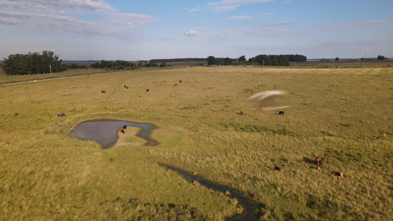 Campo en José Ignacio, propiedad 289775 -Imagen 13