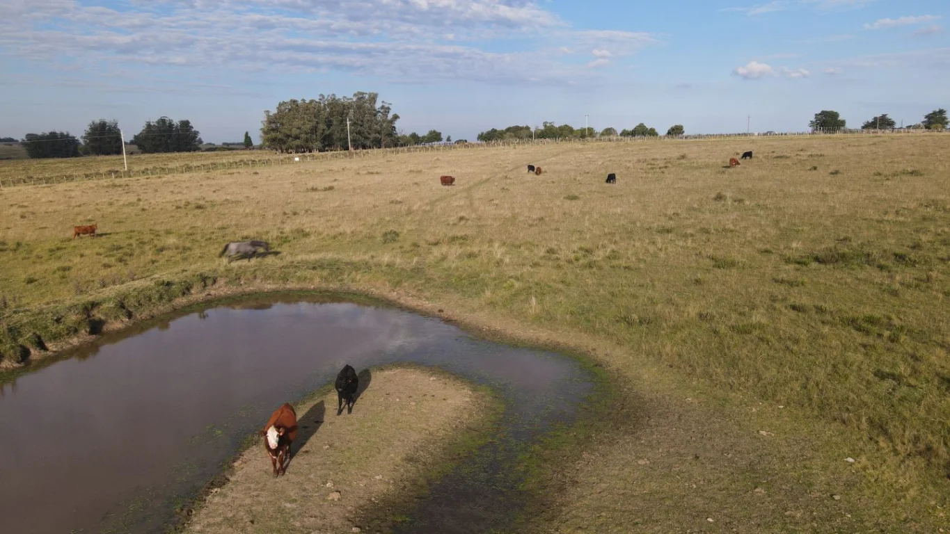 Campo en José Ignacio, propiedad 289775 -Imagen 14